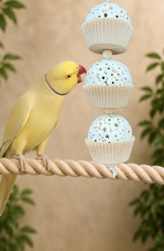 Shred and Destroy Bird Toy for Medium Birds - Conures, Cockatiels - Natural Sola Ball Hanging Chew Toy - 2 Pack - Boredom Buster Cage Toy