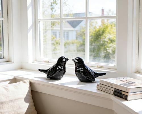 Set of 2 Ceramic Black Bird Figurines, 3.75 Inch Modern Bird Statues Home Decor, Cute Small Knick Knacks for Shelf, Office, Living Room, Bathroom, Kitchen, Housewarming Gift - color: Black