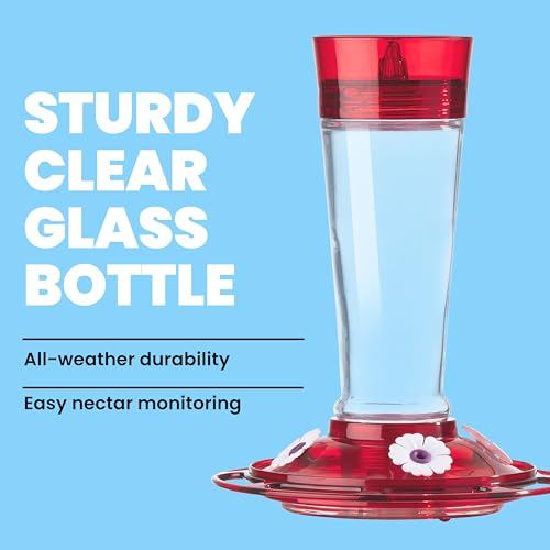 More Birds Bird Health+ Ruby Hummingbird Feeder, Glass Hummingbird Feeders for Outdoors, 4 Feeding Stations, 10 Ounces, Ruby Red
