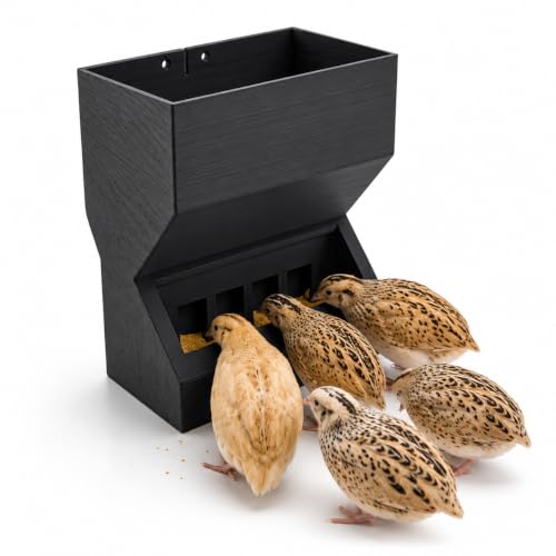 Wall Mount Automatic Quail Feeder, Anti Spill Feed Dispenser (Black) | Large Capacity Hanging Trough for Quail Chicks Small Birds, Easy Refill Clean Cage Feeder for Brooder Breeding Grow Out Cages - color: Black