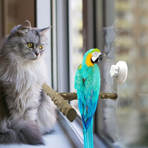 Natural Bird Perch Stand with Suction Cup for Window Mirror Car Shower Travel Bath Wood Perch Indoor Outdoor Wild Birds Small Medium Large Parrot Parakeet Cockatiel Concure Finch Lovebirds T Shape