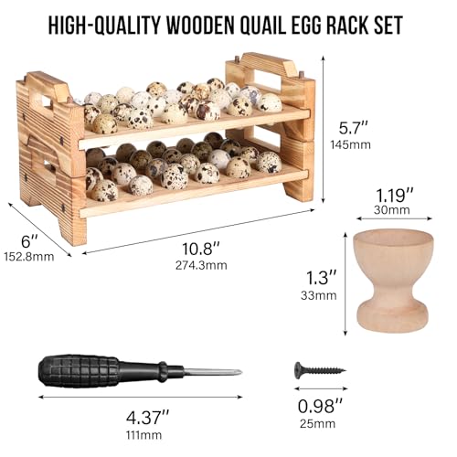 Stackable Wooden Quail Egg Holder Countertop-Expandable Storage Rack with 4 Bonus Egg Cups | Solid Wood Tray with Secure Interlocking Dowels for 48 Fresh Quail & Pigeon Eggs (Single or Multi-Tier Use)