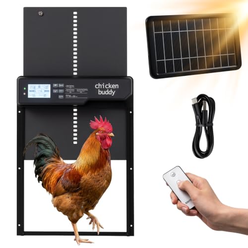 PETSITE Solar Powered Automatic Chicken Coop Door, Along with USB Charging | | LCD Display | Light Sensor, Timer, Remote & Manual Control | Anti-Pinch Design | Waterproof | Made of Aluminum |