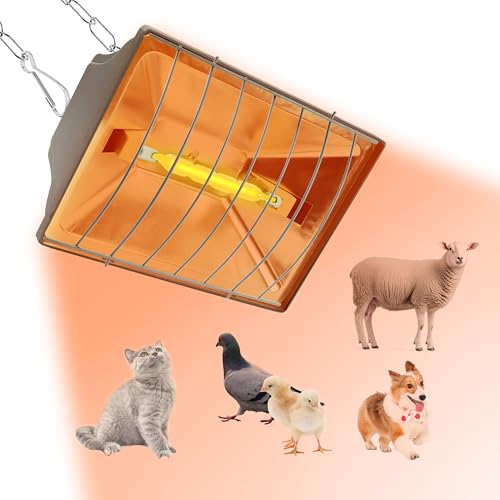250W Chicken Coop Heater for Winter Chicks Ducks, Chicken Brooder Heater Lamp w/ 2 Heating Mode & Adjustable Hanging Height for Livestock Pet Inside Outdoor Lamp (250W-Black)