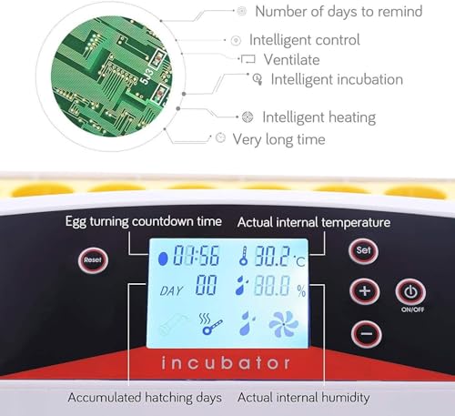 55 Egg Incubator with Auto Turner & Humidity Control 360° View | High Hatch Rate Poultry Hatcher for Chicken Duck Quail, Ideal for Farm & Home Breeding - size: 55 Egg