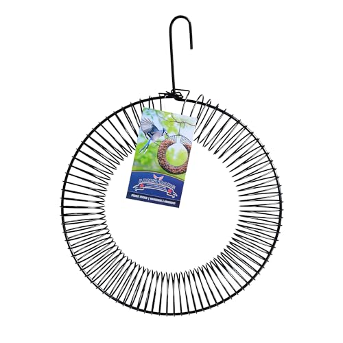 Armstrong Wild Bird Food Wreath-Shaped Peanut Feeder - Durable Metal Hanging Coil Feeder for Blue Jays & Nut-Loving Birds - Holds Peanuts in Shell for Outdoor Birdwatching and Wildlife Feeding - style: Peanut Coil