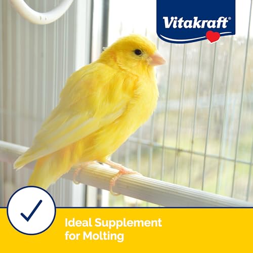 Vitakraft VitaSmart Egg Food for Birds - Daily Supplement for Parrots, Parakeets, Cockatiels, and Canaries - Bird Calcium Supplement 1.1 Pound (Pack of 1) - size: 1.1 Pound (Pack of 1)