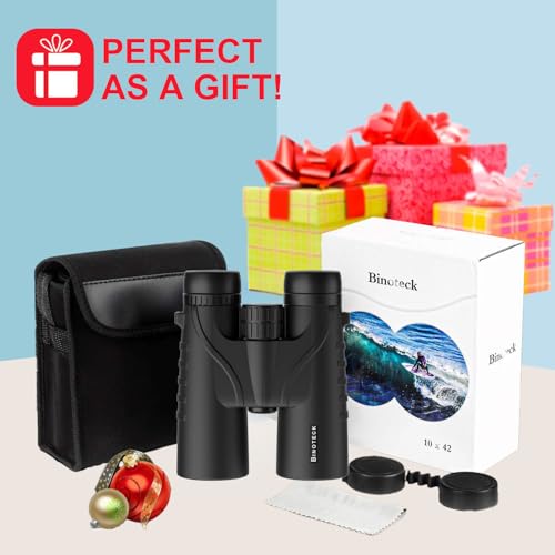10x42 Binoculars for Adults - Professional HD Roof BAK4 Prism Lens Binoculars for Bird Watching, Hunting, Travel, Sports, Cruise, with Carrying Bag (1.1Lbs) - style: New Model