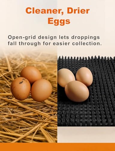 Washable Nesting Pads for Chicken Coop, 4-Pack, 13×11 in Reusable Nest Box Liners, Trim-to-Fit Open-Grid Design for Cleaner Eggs, Poultry Habitat Supplies for Chicken Coop (Black) - color: Black, size: 4-Pack