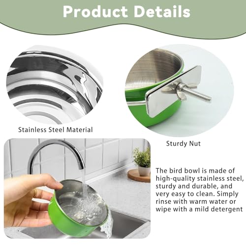 4 Pcs Parrot Feeding Dish Cups,Stainless Steel Bird Food Water Feeder Bowls | Parrot Cage Feeder with Clamp Holder Small Bird Feeding Cup for Parakeet Cockatiels Conure Budgies Chinchilla Small Animal - size: 4pcs Green