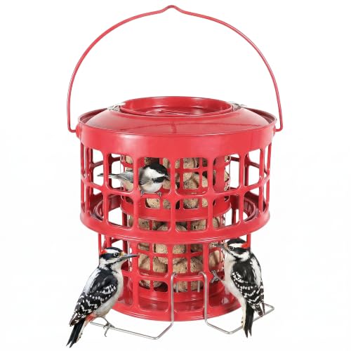 KOL All-Metal Suet Bird Feeder, Heavy-Duty Double-Layer Suet Ball Feeder for Wild Birds, 360° Feeding with Drainage Tray, Ideal for Suet Balls and Seed Cakes (Red) - color: Red