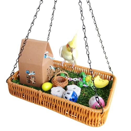 Natural Bird Toy Foraging Parrot Shredding Toys Box Conure Chewing Toys for Cockatiel Lovebird Parakeet Budgie Small-Medium Birds