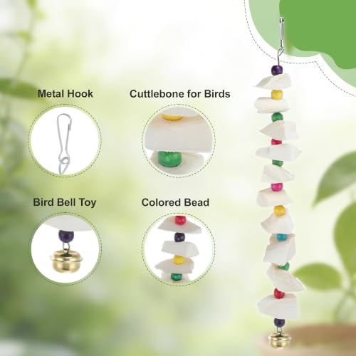 Bird Toys with Cuttlebone, Grinding Stone for Bird, 3 Pcs | Prevents Destructive Chewing, White, Colorful