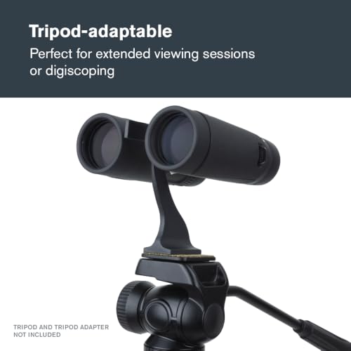 Celestron TrailSeeker ED 10x42 Binoculars for Wildlife Viewing – ED Glass | ED Glass for Sharp Detail, Phase & Dielectric-Coated BaK-4 Prisms, Fully Broadband Multi-Coated, Magnesium Alloy Body - style: TrailSeeker ED 10X42