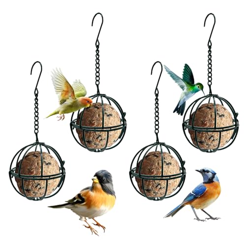 4 Pcs Balls Suet Feeders Metal Hanging Birds Feeder with Hooks for Outside Hanging Fat Ball Bird Feeders Outdoor Garden Wild Birds