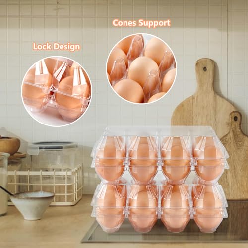 60PCS Plastic Egg Carton Reusable Egg Cartons Cheap Bulk for Large Eggs | 1 Dozen Blank Egg Tray Clear Egg Container Holder for Refrigerator Home Ranch Chicken Farm Commercial Market Display - size: 60Pack-3x4 Grids