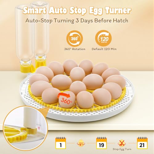 Sailnovo 18 Eggs Incubators for Hatching Egg with Auto Water Filling | Egg Turning,Egg Candler,ncubator for Chicken Duck Quail Eggs,Temperature Control,Ideal for Year-round incubation - color: Grey-White-Yellow, size: Hatch 18