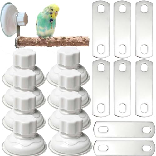 8 Pack Suction Cup Accessory Sets for Bird Perches Bird Stand Sticks Stand Toy Wood Platform for Parrot Parakeet Cockatiel Budgie Suction Cup for Window Bath Shower Car Travel Wall Outdoor Indoor