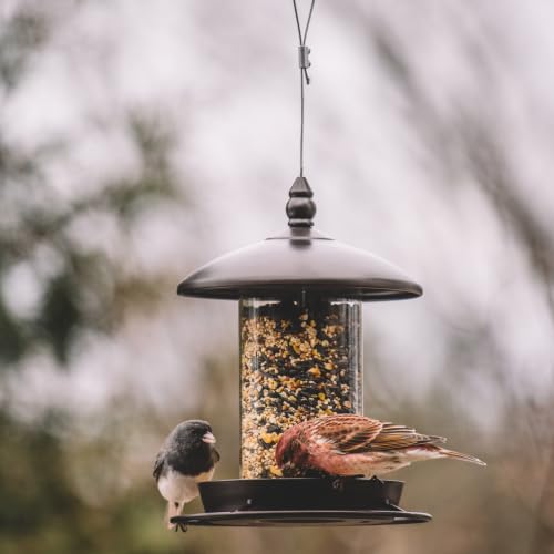 Metal Bird Feeder for Outside Hanging,Wild Bird Feeders for Cardinal, Large Roof and Tray - 6 Port - color: Chestnut Brown