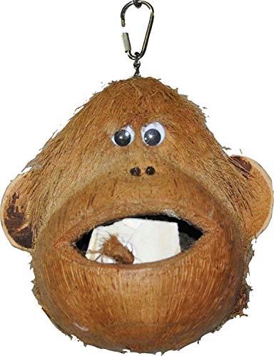 A&E CAGE Company HB46581 Happy Beaks Coco Monkey Assorted Bird Toy, 6 by 6 by 6", Brown