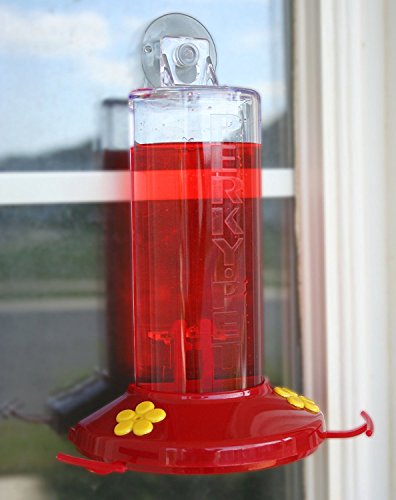 Perky-Pet Plastic Window Mount Hummingbird_Feeder with Perches - 8 oz Hummingbird Nectar Capacity, 217 - Hummingbird feeders for Outdoors (Pack of 2) - size: 2 Pack