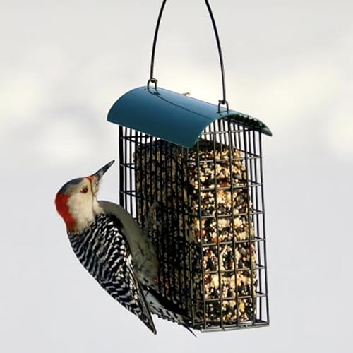 Large Suet Feeder - Metal Woodpecker Suet Cage w/Roof | Holds 1 Large Seed Cake. Metal Roof Keeps Suet Dry. Multiple Clinger Birds Feed at Once - Woodpeckers, Finches, Chickadees.