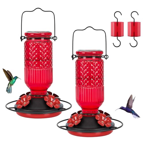 Glass Hummingbird Feeder for Outdoors Hanging, 16 oz Leak-Proof Nectar Feeder with Bee Guards & Ant Moat, 4 Metal Flower Feeding Ports, 360° Perch Ring, Easy Refill & Clean, Red - color: Red
