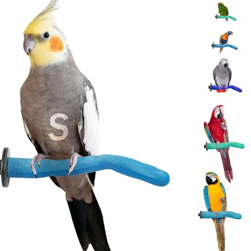 Sweet Feet and Beak Safety Pumice Bird Perch, Small Pedicure Perch, Blue | Plastic Bird Nail Trimming Perch, Pumice Coated Surface for Healthy Feet and Beak, 8" Lightweight Perch, Available In 5 Sizes - color: Blue, size: Small 8"