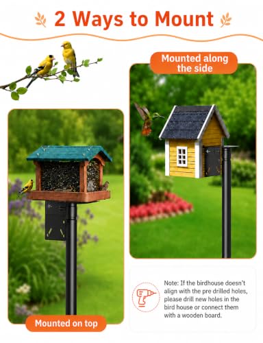 95 Inch Adjustable Bird House Pole, Heavy Duty 1 Inch Diameter Metal Bird Feeder Stand with 5-Prong Base, Rustproof Outdoor Mounting Pole for Bluebird Houses, Smart Bird Feeders and Weather Stations - size: 95Inch -Pole-1