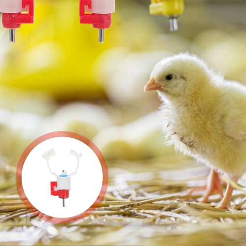 VICASKY 20 Pcs Chicken Waterer Nipples Ball Nipple Chicken Feeders for Coop Watering System Easy Install Water Supply Parts for Chickens Ducks Quail Poultry Feeding