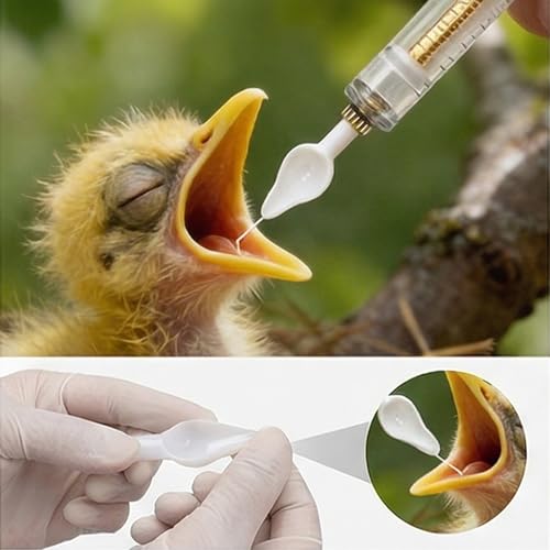 Baby Bird Feeding Syringe Kit,Hand Feeding Syringe for Birds,Pet Syringe Feeding Tool, Parrot Feeding Tubes Set for Small Baby Birds Pet Kittens (A) - color: A