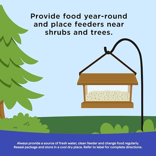 Kaytee Peanuts Wild Bird Food, High in Fat and Protein | Attract birds year-round. Bird food for outside feeders with peanut pieces. No hulls, 100% edible, nuts for birds - size: 11 Pound (Pack of 1)