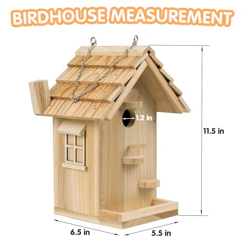 DIY Birdhouse Kit, Wooden Bird House for Adults to Build, DIY Bird House for Outside, Outdoor Woodworking Adult Crafts