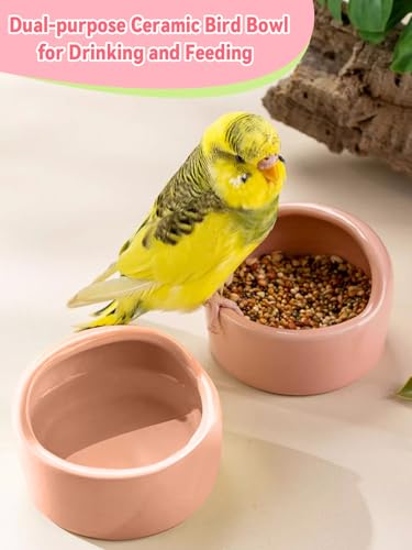 2 Pcs Bird Food Bowl Small Ceramic Bowls for Birds Parakeet Food Bowl Parrot Feeding Cups, Bird Cage Feeder with 2 Plastic Feeding Clips for Parakeets Conure Cockatiels Lovebird Budgie (Pink) - color: Pink