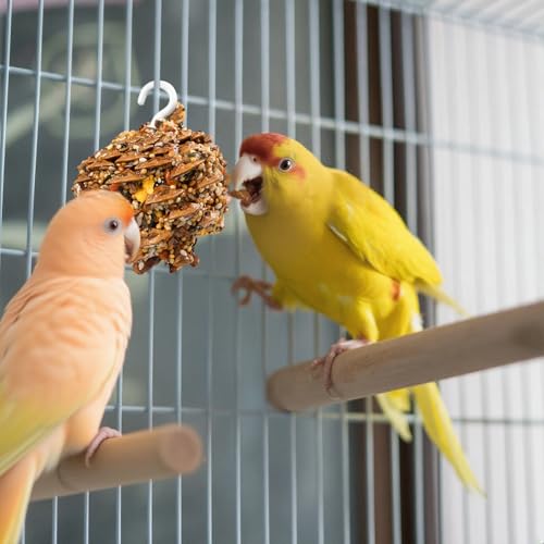 Abizoo Natural Pinecone Chew Toys with Edible Sunflower & Veggies - Malt Sugar Coated Foraging Enrichment for Parrots Cockatiels Conures Budgies Immune & Digestive Support Safe Bird Toy 2pcs