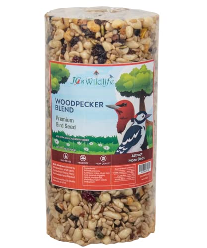 JCs Wildlife Woodpecker Blend Bird Seed Cylinder with Hole, Peanuts Pecans Pumpkin Seeds Berries, No Filler Wild Bird Food for Outside Feeders, Made in the USA, 1 Count (Pack of 2) - size: 1 Count (Pack of 2)