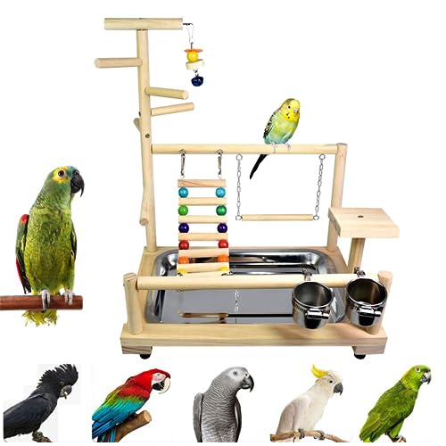 Bird Playground, Parrot playstand, Bird Play Stand, Parakeet Playground, Wood Perch Gym Playpen Ladder with Feeder Cups Toys Exercise Play