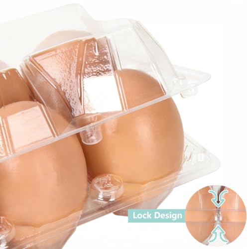 DAJAVE 100 Pack Plastic Egg Cartons Bulk, 2x3 Egg Holders Style Holds up for 6 Eggs, Half Dozen Egg Carton for Family, Pasture, Farm Markets Display(Medium)
