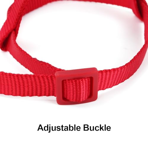 Parrot Harness Leash, Anti Bite Bird Training Leash Adjustable Parrot Flying Rope for Parrot Budgerigar Lovebird Cockatiel