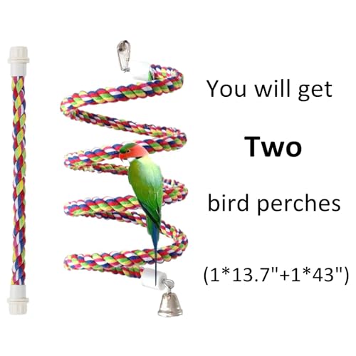 Rope Bungee Bird Toy, Small