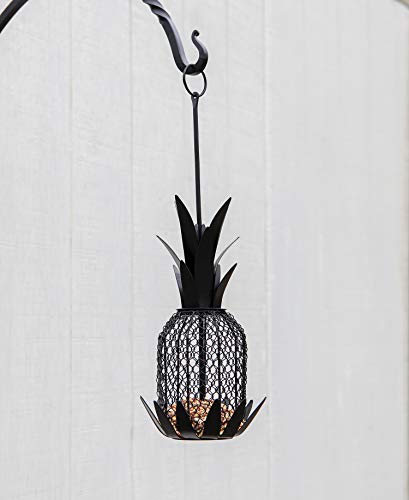 Achal Designs Pineapple Birdfeeder