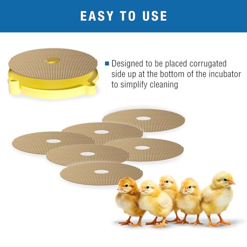 Brinsea Cardboard Hatching Mat for Maxi Egg Incubators, Pack of 6 | Authentic Brinsea Maxi 24 Incubators liner; textured, disposable floor covering helps chicks grip safely during hatching - size: Maxi, 24 Eggs