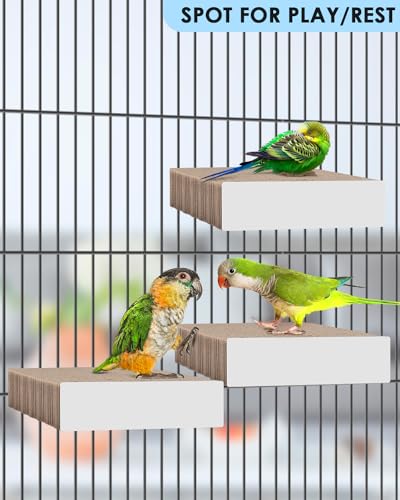 KATUMO Parrot Toys, 7.87 Inch Conure Shredder Foraging Chew Toys Bird Perch Stand Cardboard for Parakeet Cockatiel Canary Conure Mynah Small Parrots