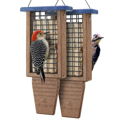 Kingsyard 2 Pack Double Tail-Prop Suet Bird Feeder | Recycled Poly Lumber Suet feeder, Sturdy & Durable, Outside Hanging, Great for Woodpecker & Clinging Birds, Green - color: Green