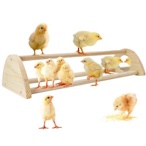 Chicken Perch with Mirror Roosting Barfor Baby Chicks | Chick Jungle Gym Roosting Bar Strong Wooden Baby Chick Perches Outdoor Use, Easy Installation