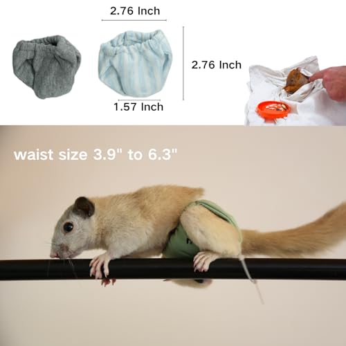 2 Pcs Squirrel Diapers- Reusable Washable Squirrel Diapers Absorbent with Strong & Flexible Pants for Squirrel,Fancy Rat,Groundhog Guinea Pig Small Sugar Glider (M)