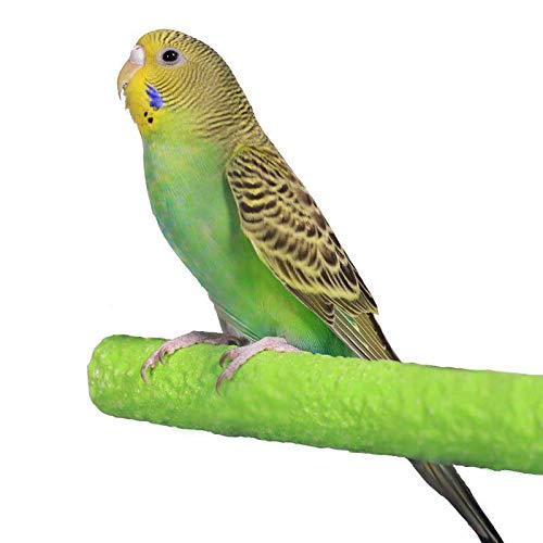 Bird Cage Perch Parrot Sand-Surface Stand 2Pack Grinding Wood Stick Platform Molar Toy Branch for Macaw African Greys Budgies Cockatoo Parakeet Cockatiel Conure Lovebirds
