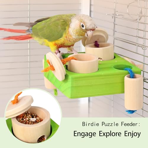 Birdie Puzzle Feeder - Interactive Foraging Toy for Parrots, Parakeets, Cockatiels, Conures | Mental Enrichment & Stimulation Game to Prevent Boredom (Green) - color: green