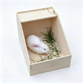 Rabbit Nesting Box, 18"x13"x12", Wood | 5" Entry Height, Fully Detachable Lid, For Breeding, Nursing & Nesting, For Rabbits, Chickens, Guinea Pigs, Chinchillas - size: 18"x13"x12"