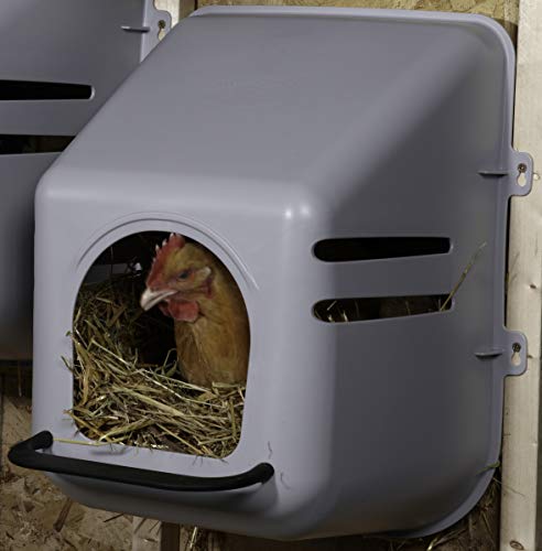 Little Giant Single Plastic Nesting Box Chicken Nest Box with Perch (Item No. 163620)